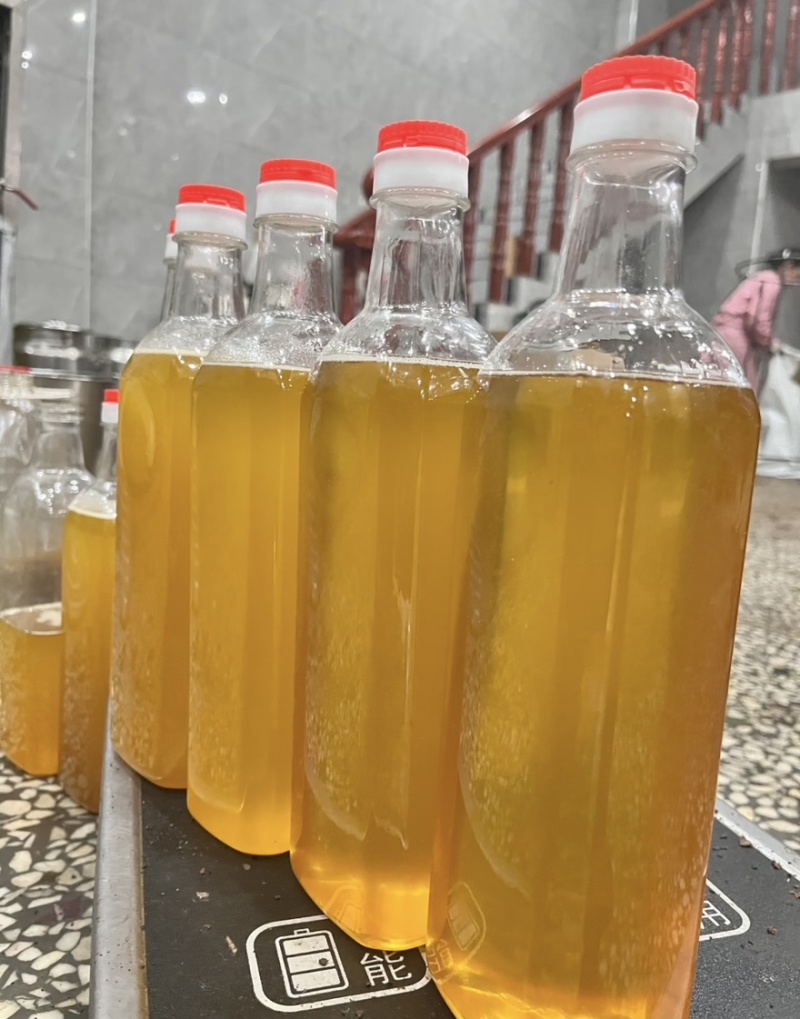 精品山茶油产地一手货源全国发货量大价优欢迎随时联系