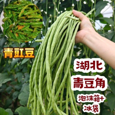 湖北青豆角青豇豆长豆角新鲜正品豇豆角长条豆角