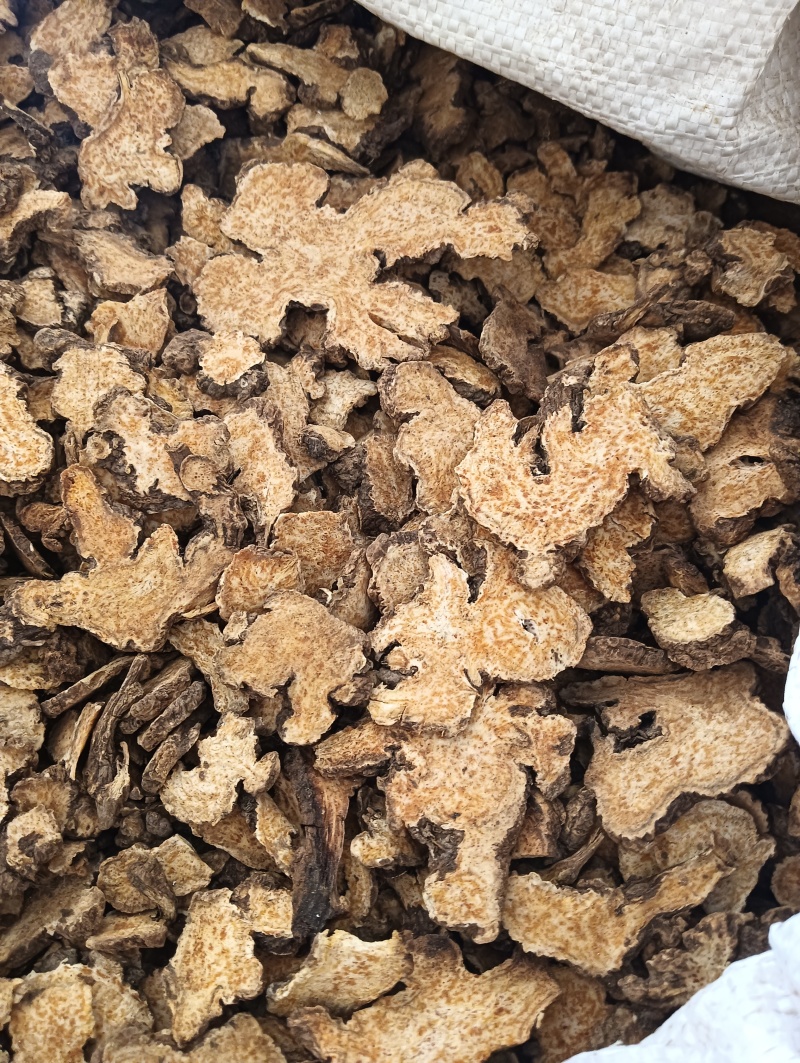 苍术茅苍术规格齐全鲁赣中药材批发现货供应