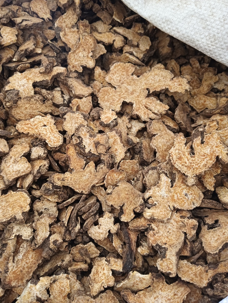 苍术茅苍术规格齐全鲁赣中药材批发现货供应