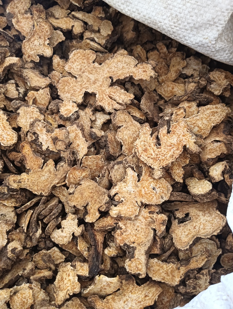 苍术茅苍术规格齐全鲁赣中药材批发现货供应
