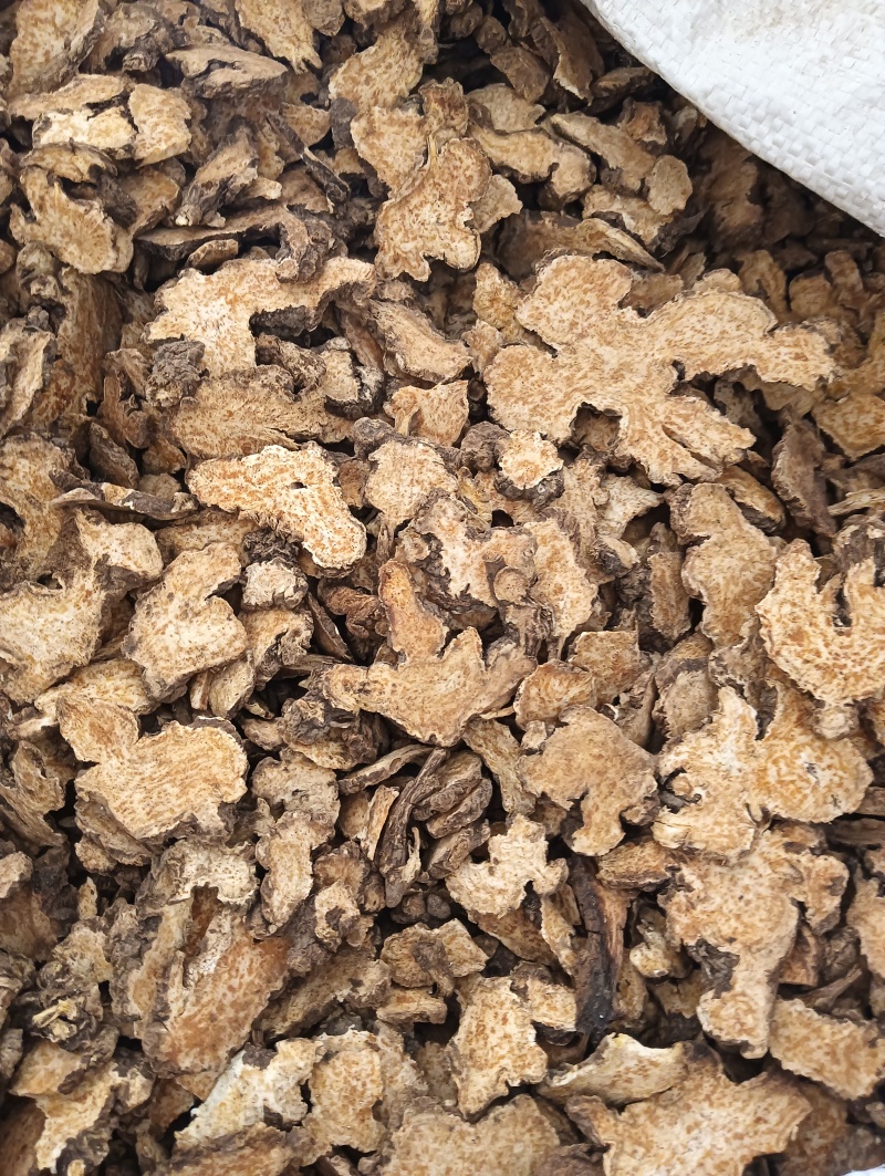 苍术茅苍术规格齐全鲁赣中药材批发现货供应