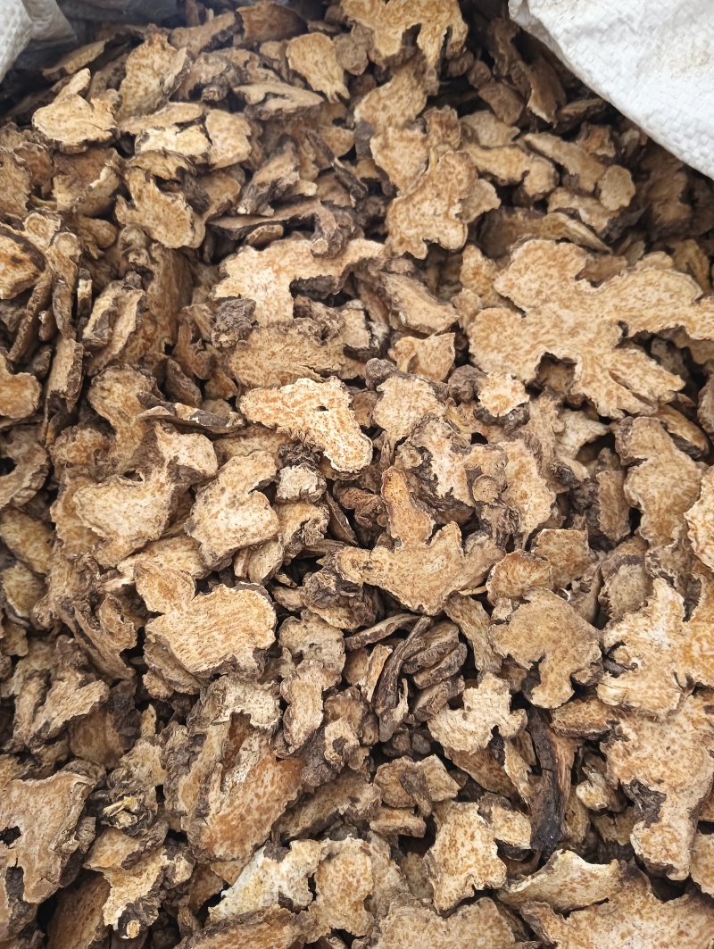 苍术茅苍术规格齐全鲁赣中药材批发现货供应