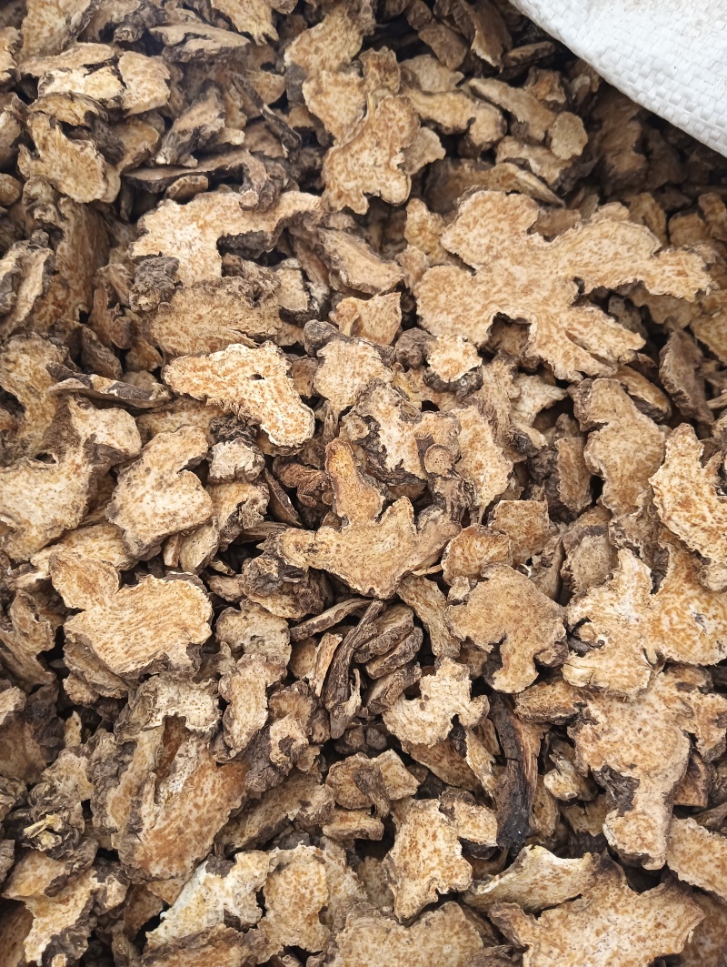 苍术茅苍术规格齐全鲁赣中药材批发现货供应