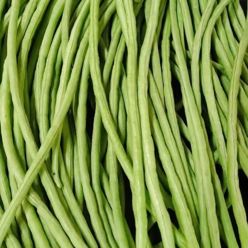 湖北青豆角青豇豆长豆角新鲜正品豇豆角长条豆角