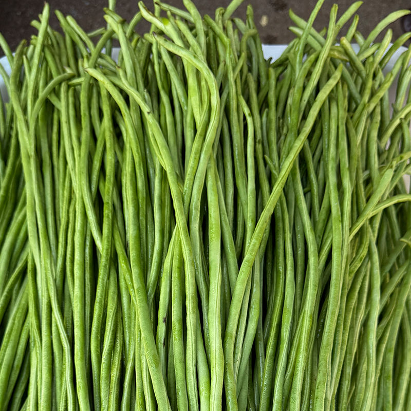 湖北青豆角青豇豆长豆角新鲜正品豇豆角长条豆角