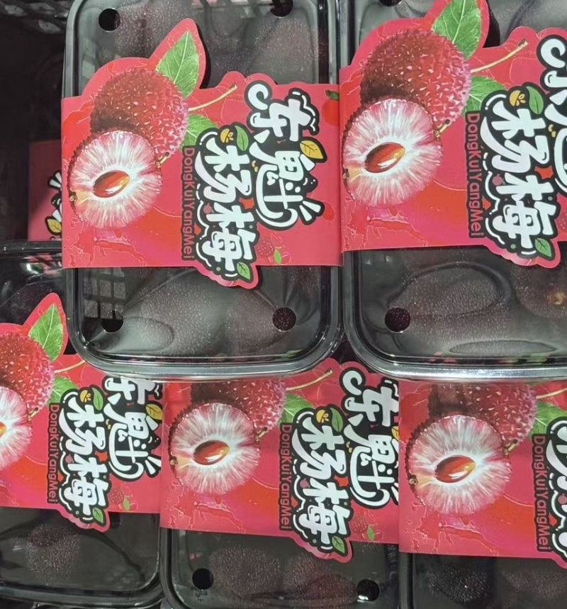 正宗仙居东魁杨梅支持超市团购合作支持一件代发接预定