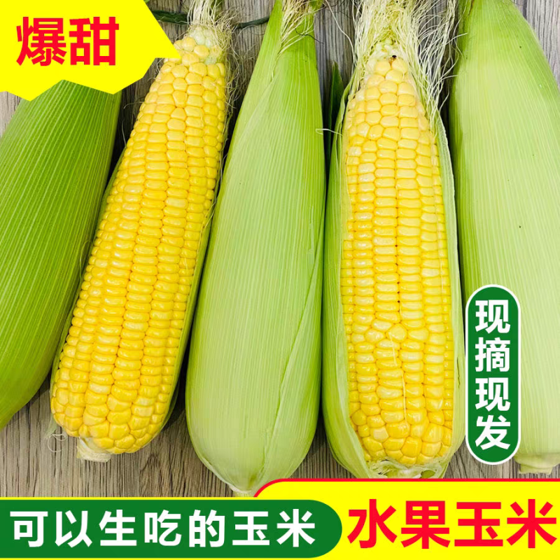 水果玉米甜玉米甜糯玉米产地一手货源支持打款发货