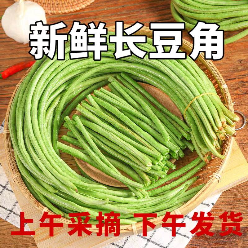 架豆王豆角鹅米豆产地一手货源保质保量欢迎订购