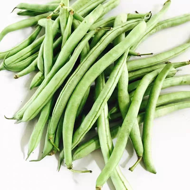 白花四季豆红花四季豆产地看货论价保质保量欢迎订购