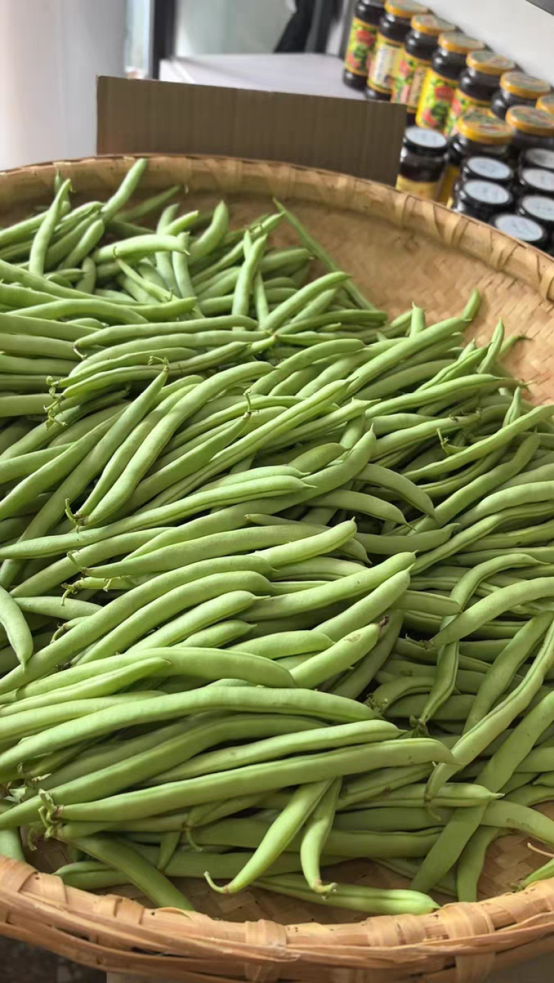 白花四季豆红花四季豆产地看货论价保质保量欢迎订购