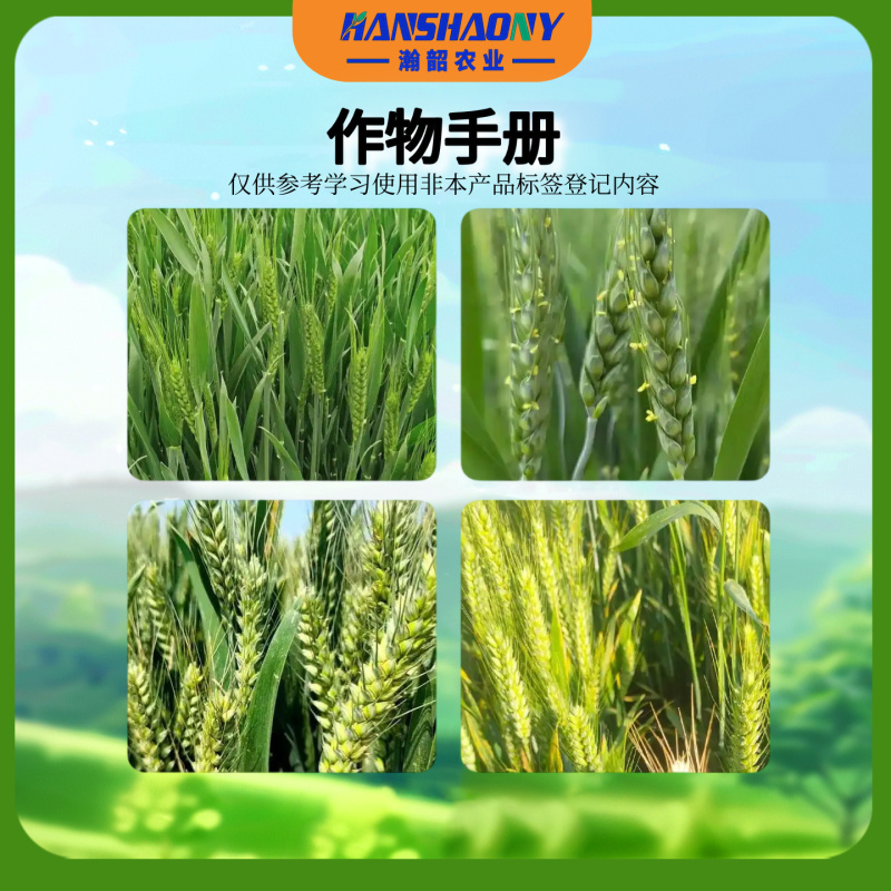 沃巴盾5%氨基寡糖素低毒农作物作物番茄病毒病晚疫病农用