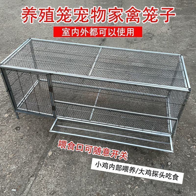 加密加粗镀锌铁丝笼鸡笼鸽子笼兔笼鸟笼运输笼养殖笼小鸡笼鹌