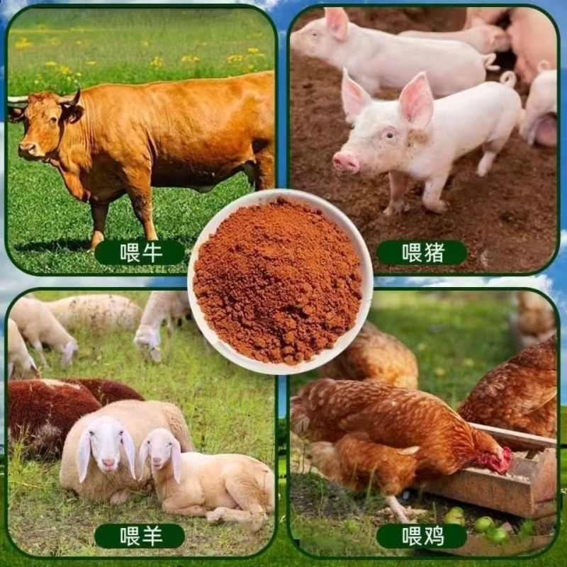 水产红糖水产养殖专用红糖批发红糖水产专用红糖EM菌扩培红