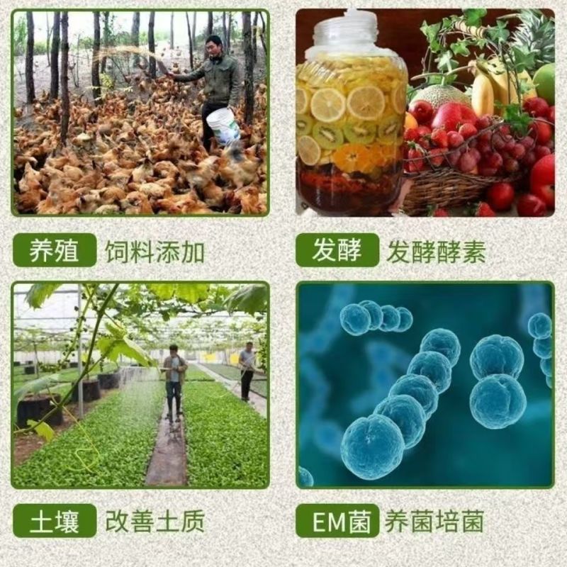 水产红糖水产养殖专用红糖批发红糖水产专用红糖EM菌扩培红