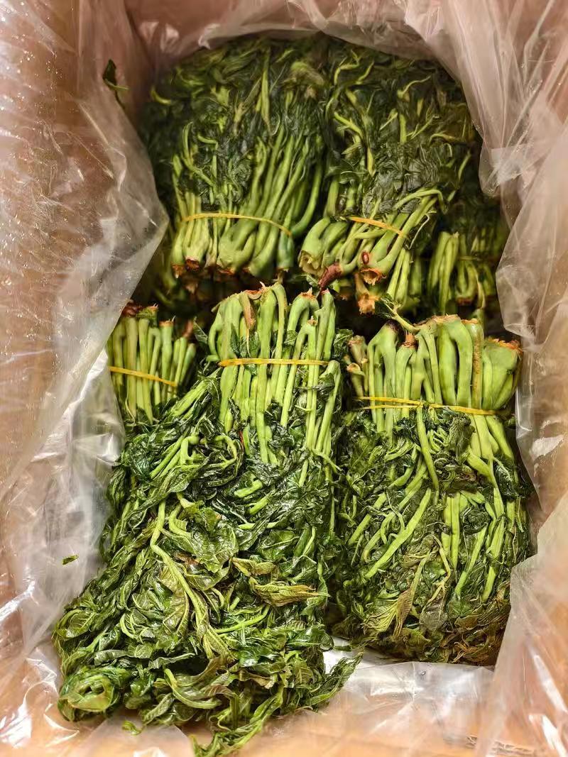 【泡菜】淹渍香椿，低价出
