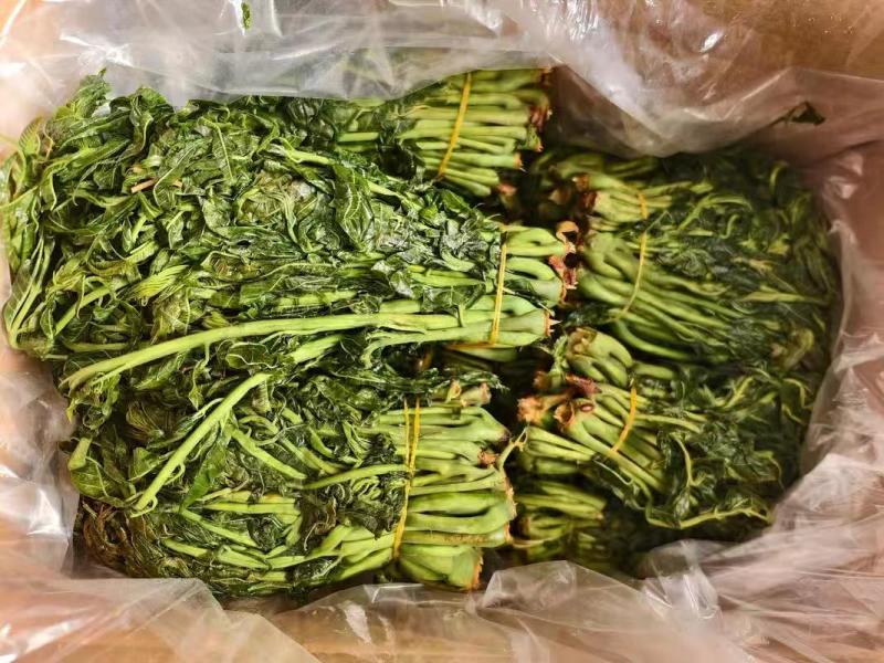【泡菜】淹渍香椿，低价出