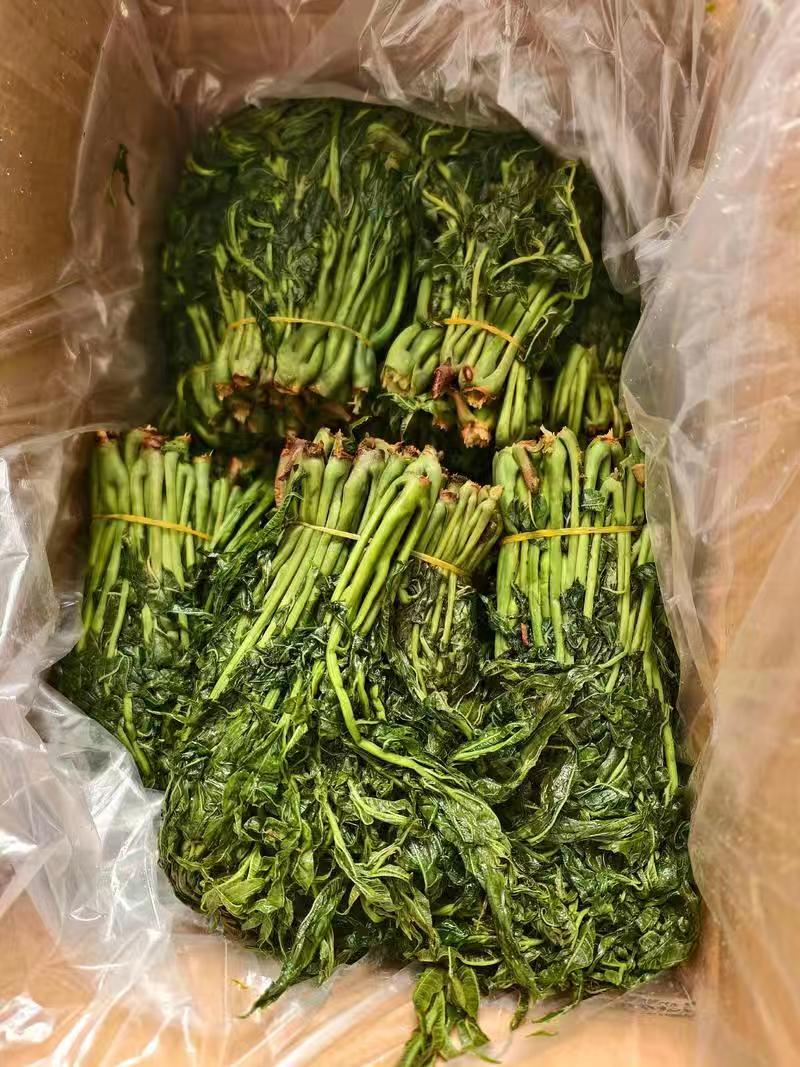 【泡菜】淹渍香椿，低价出