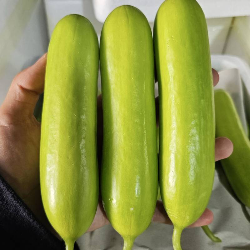 奶油黄瓜
