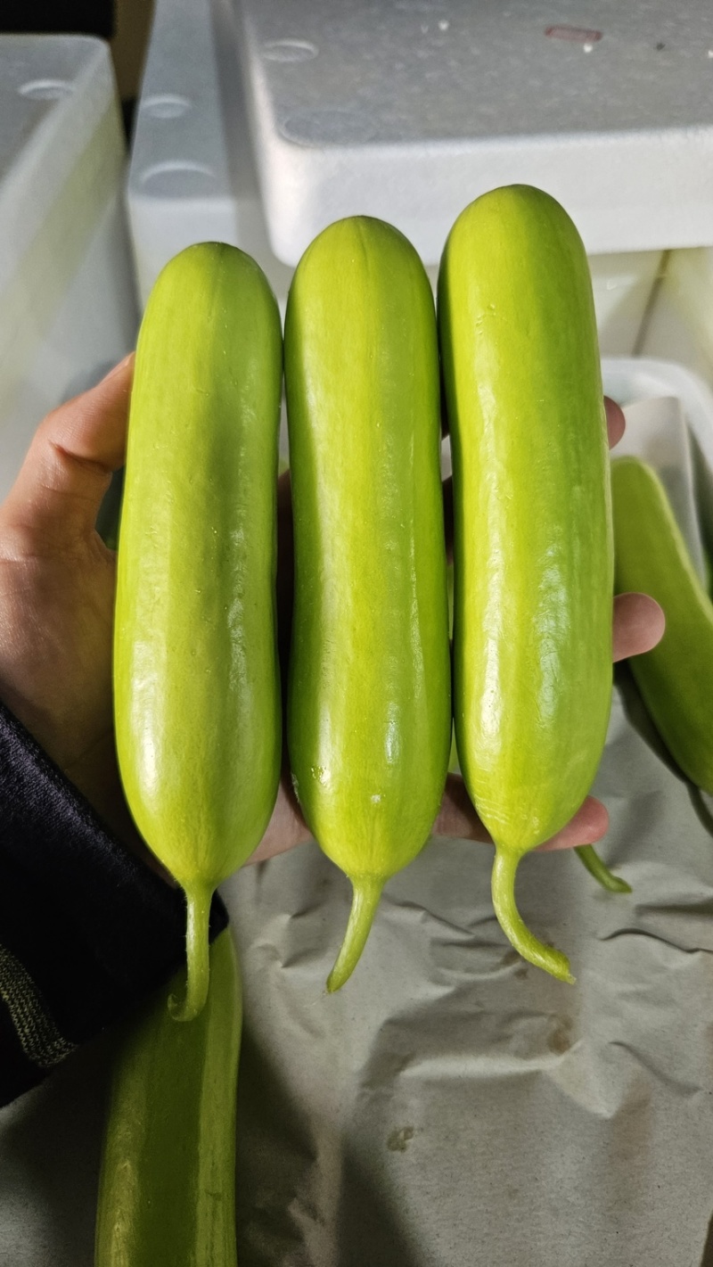 奶油黄瓜