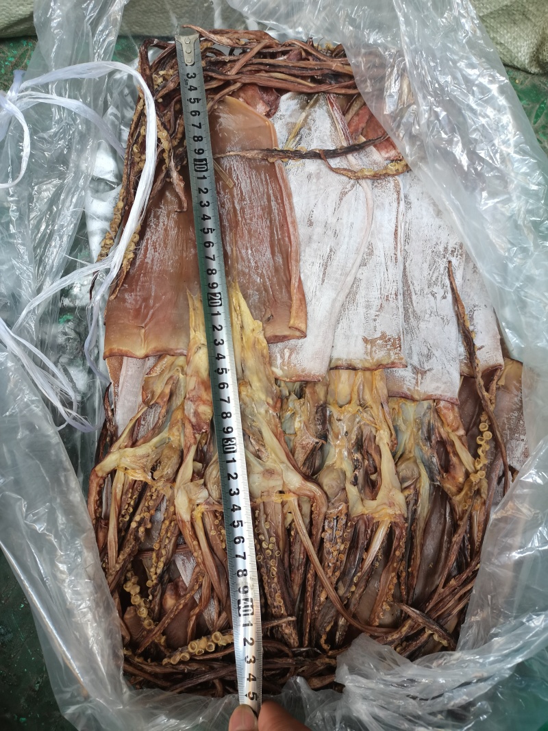 鱿鱼干必鲁鱿鱼大整条个大肉厚新鲜自然