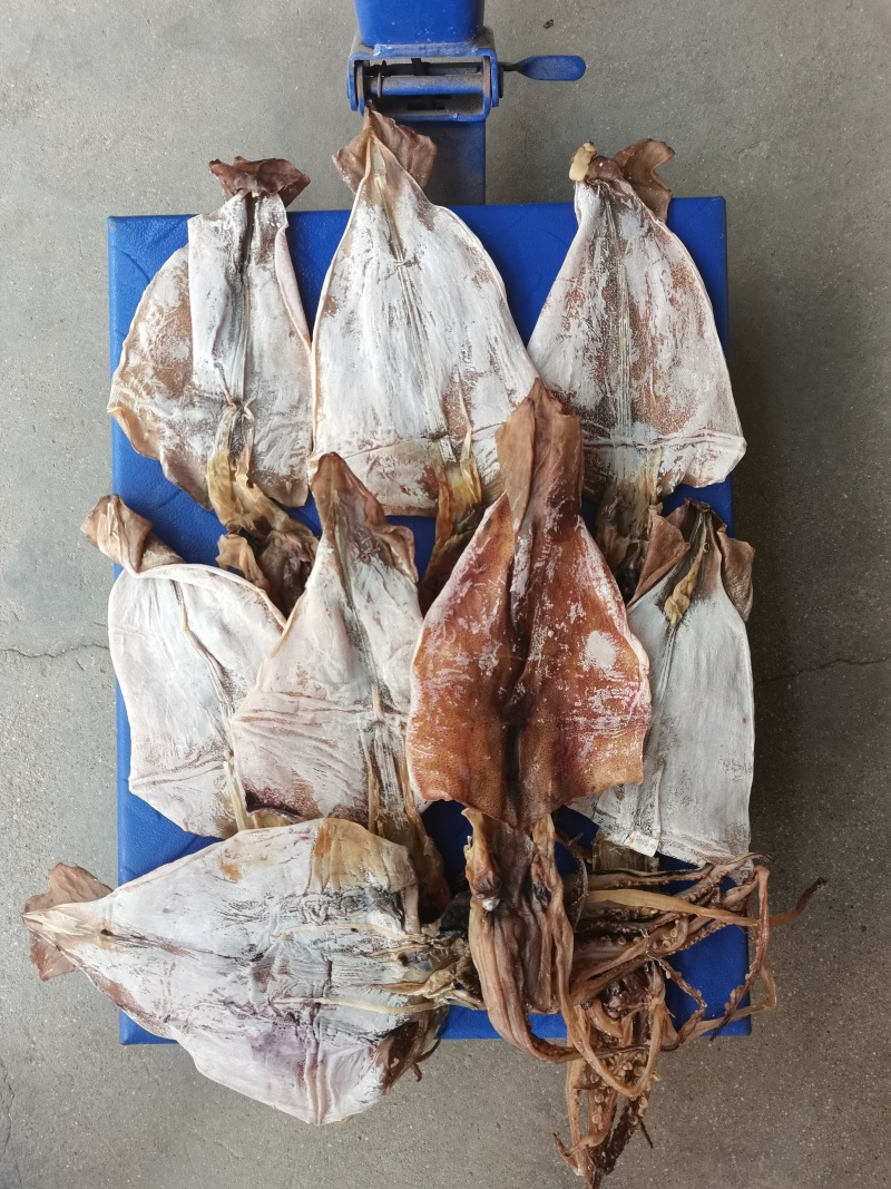 鱿鱼干必鲁鱿鱼大整条个大肉厚新鲜自然