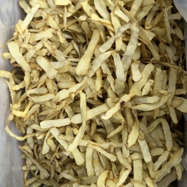 玉竹大选片