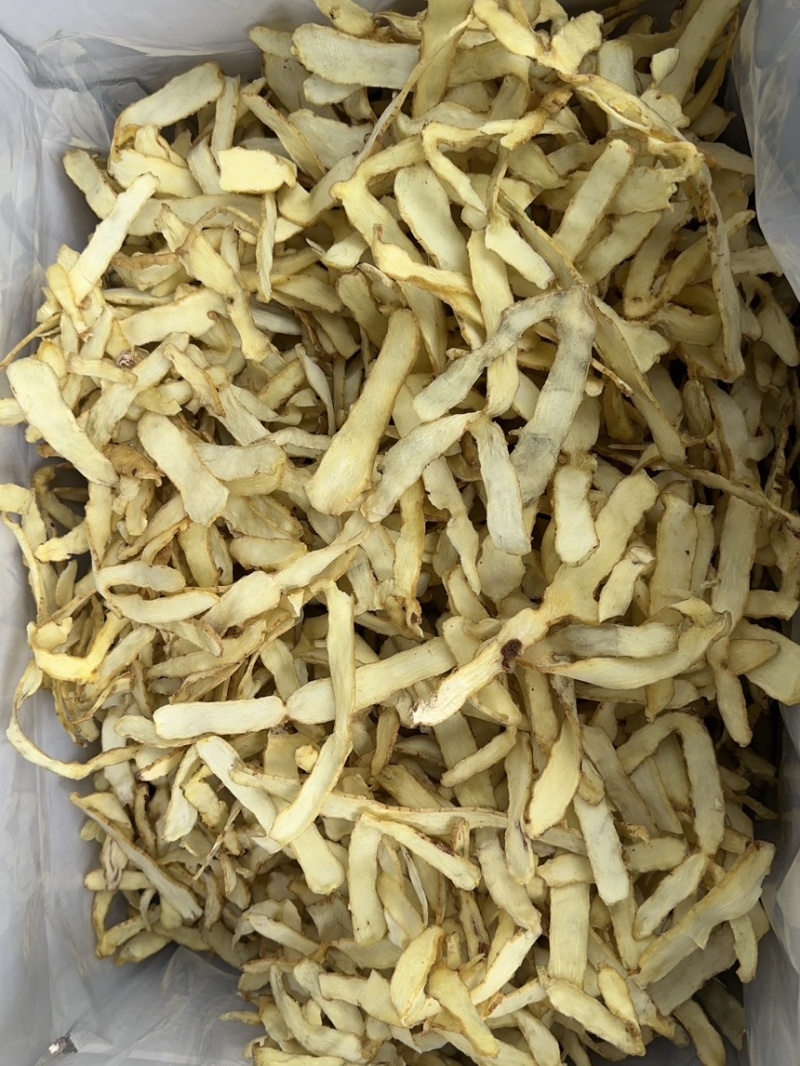 玉竹大选片