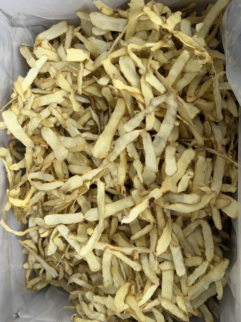 玉竹大选片