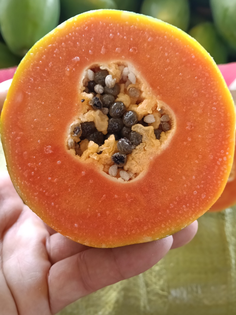红心木瓜
