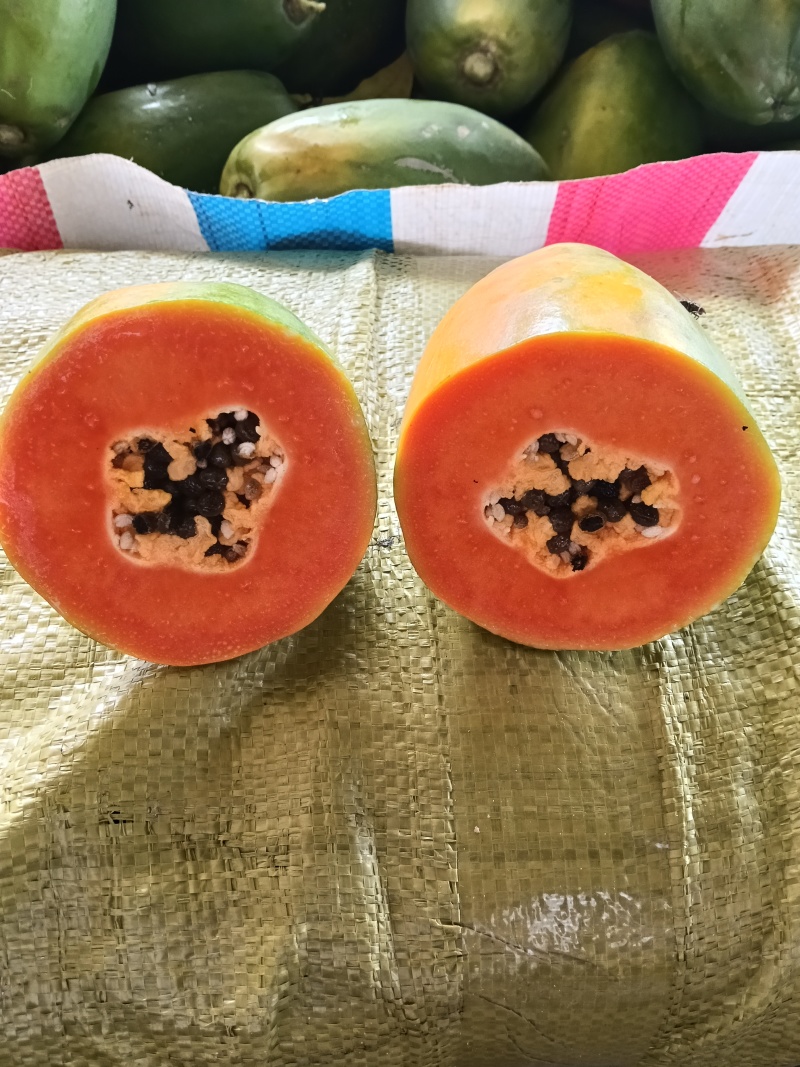 红心木瓜