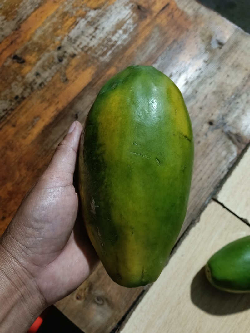 红心木瓜