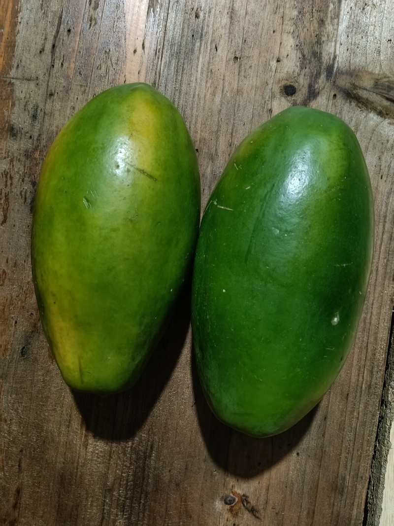 红心木瓜