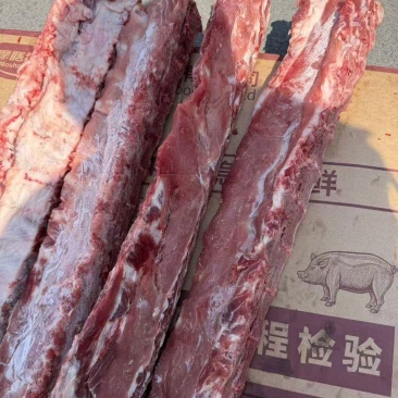 猪龙骨