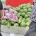 东台西瓜，美都西瓜，各系麒麟瓜。东台8424西瓜