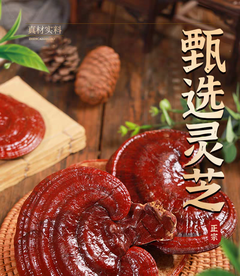 包邮）灵芝500g长白山优质林下紫灵芝赤灵芝灵芝片