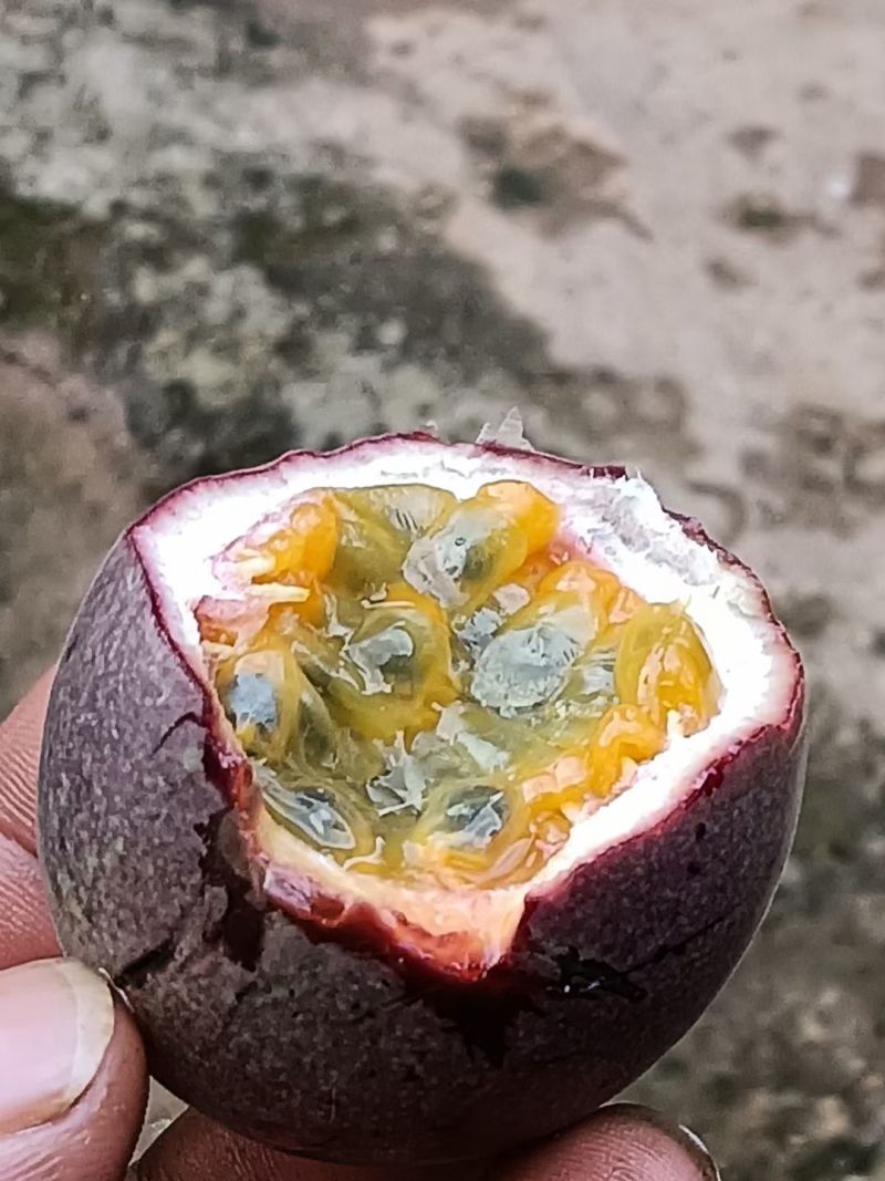 百香果
