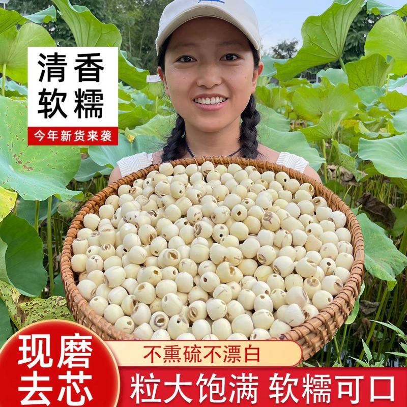 湖南特产农家手工湘潭莲子白莲干货无硫500g去芯通心莲子