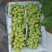 【维多利亚葡萄】河北饶阳县葡萄种植基地产地直发品种齐