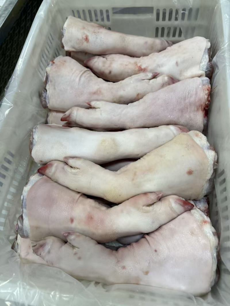 冻猪脚