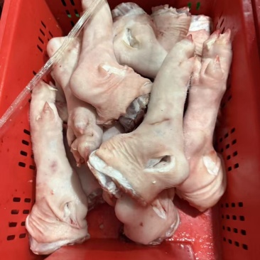 冻猪脚