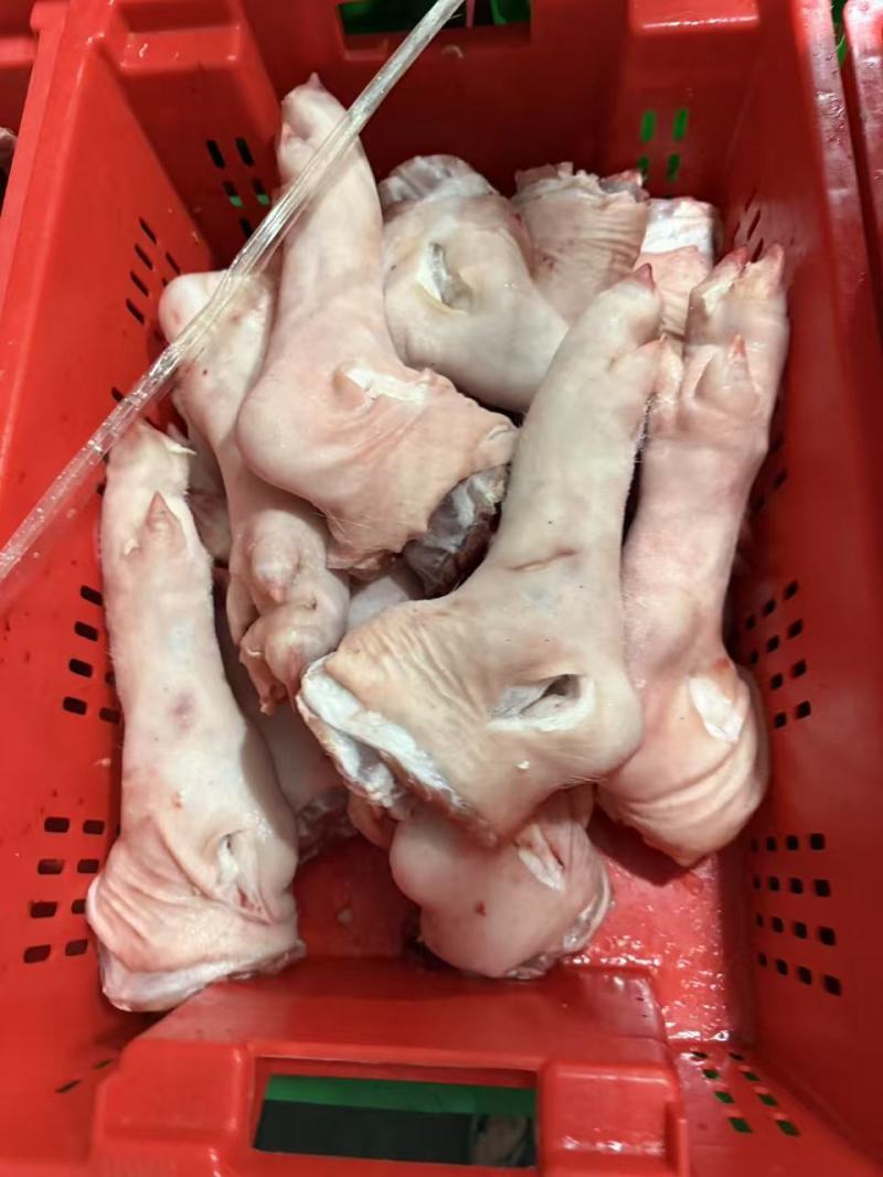 冻猪脚