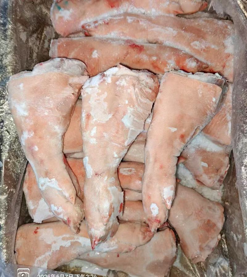 冻猪脚