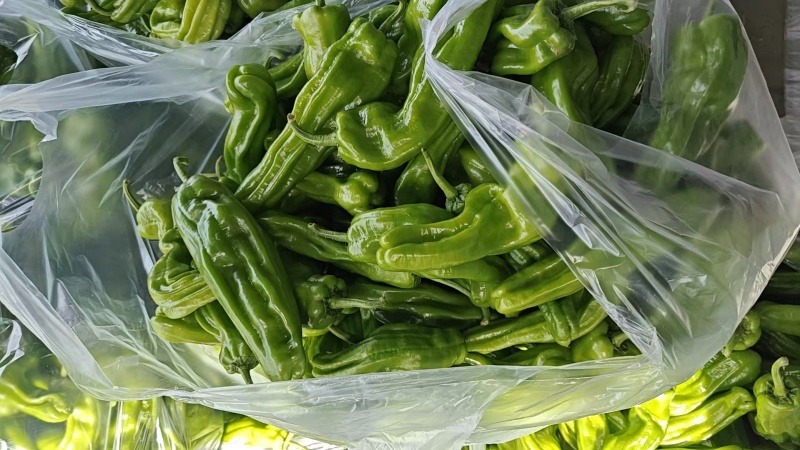 周口芜湖椒大量上市货源充足保质保量欢迎来电