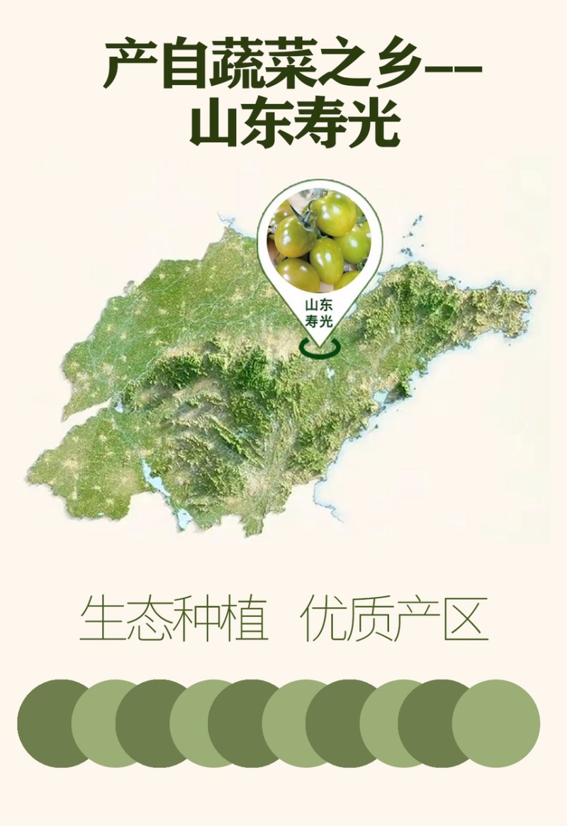 各类颜色小番茄圣女果，支持团购，档口批发，电商一件代发