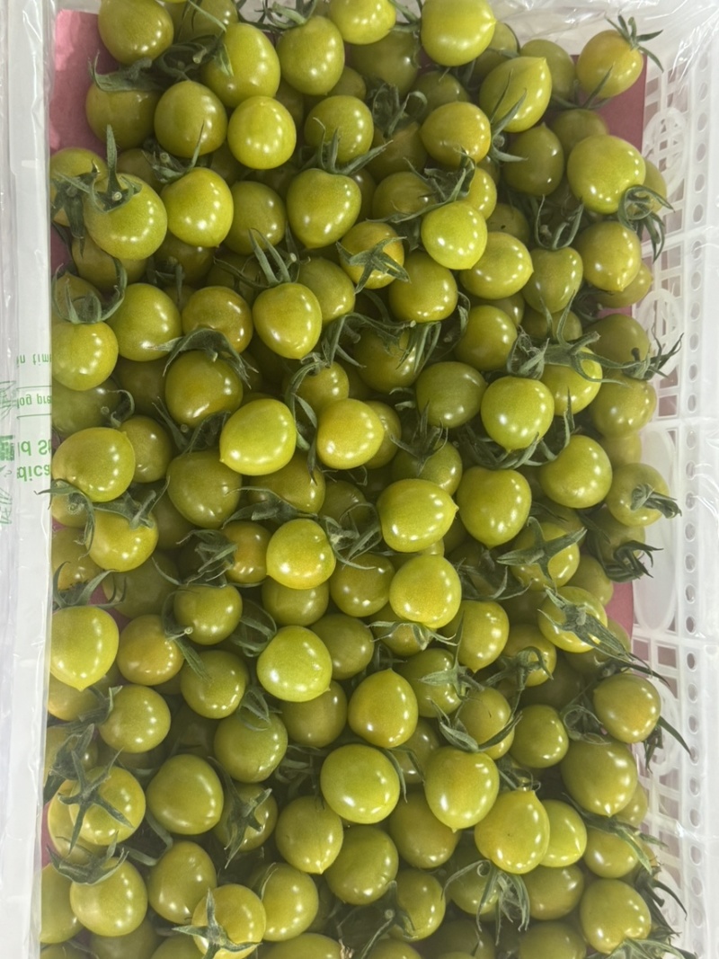 各类颜色小番茄圣女果，支持团购，档口批发，电商一件代发