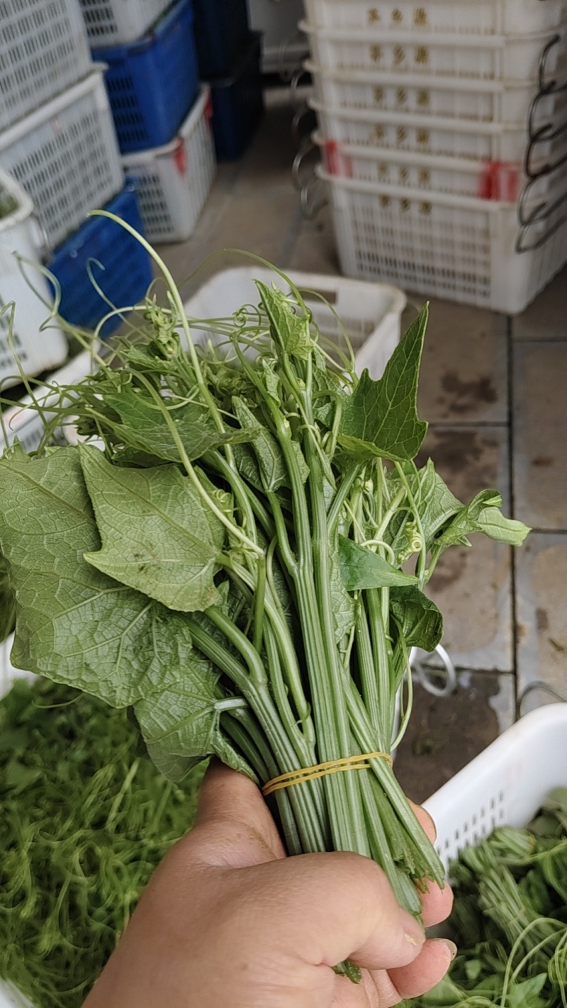 龙须菜，泡沫箱打包