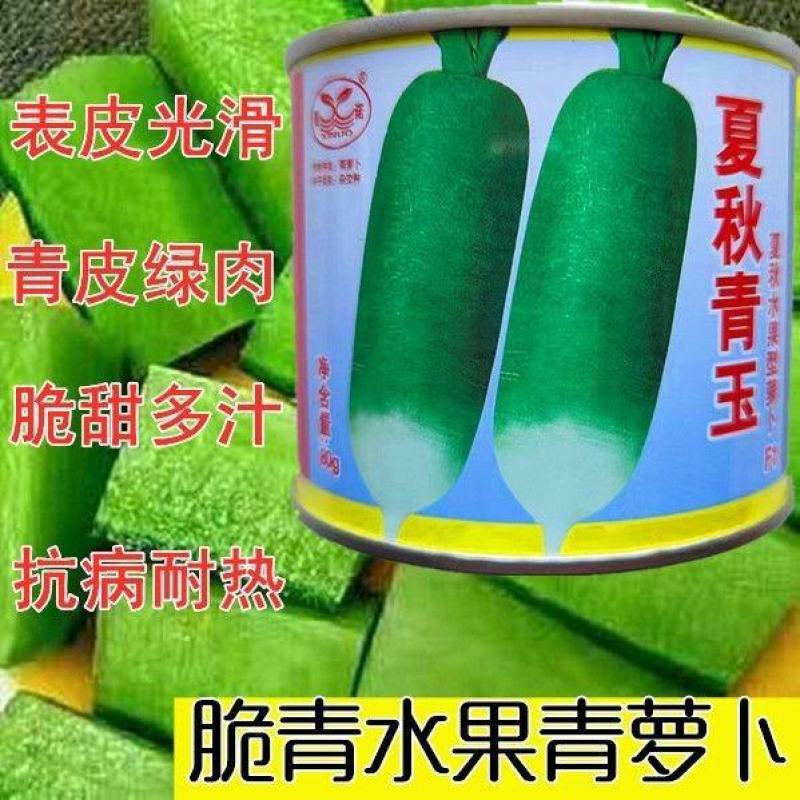 夏秋青玉萝卜种子夏秋脆甜微辣水果青萝卜种籽抗病高产原包装