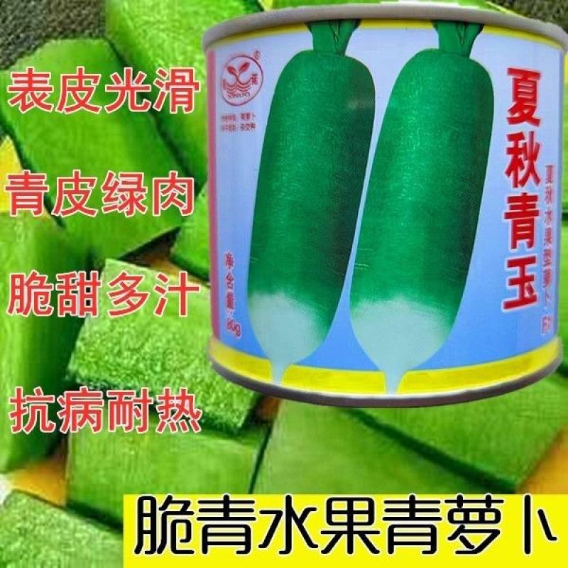 夏秋青玉萝卜种子夏秋脆甜微辣水果青萝卜种籽抗病高产原包装