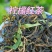 柠檬红茶柠檬茶红茶云南红茶批发价散装500克
